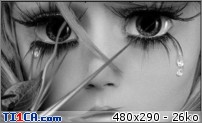 img http://mk6.ti1ca.com/78yxvief.jpg /img