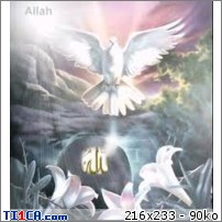 img http://mk6.ti1ca.com/adhedtdj.jpg /img