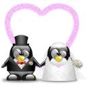 img http://mk6.ti1ca.com/rdp1b457.jpg /img