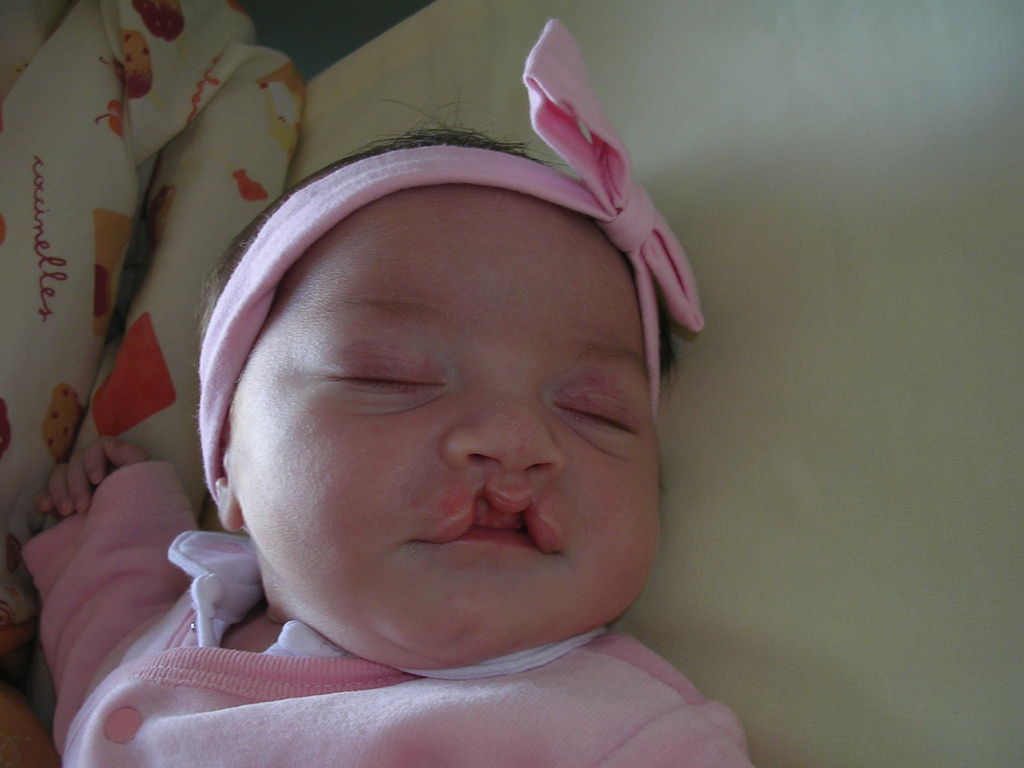 photo4 117 : photo4 117.JPG