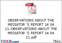 OBSERVATIONS ABOUT THE MEDIATOR 'S REPORT 14 04 11